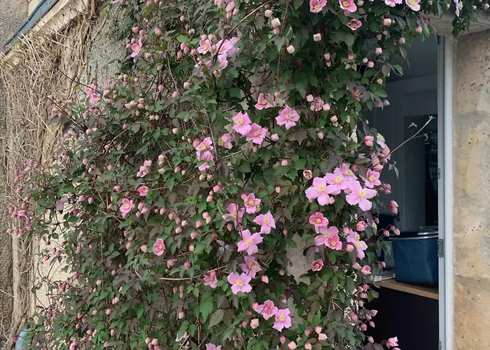 La Garde - D'hote 招待所 Saint-Martin-de-Ribérac