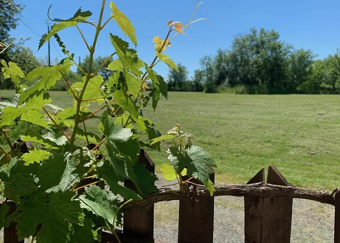 La Garde - D'hote 招待所